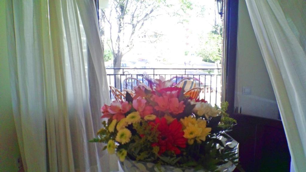 Lcd - Gaviota, Miami Platja