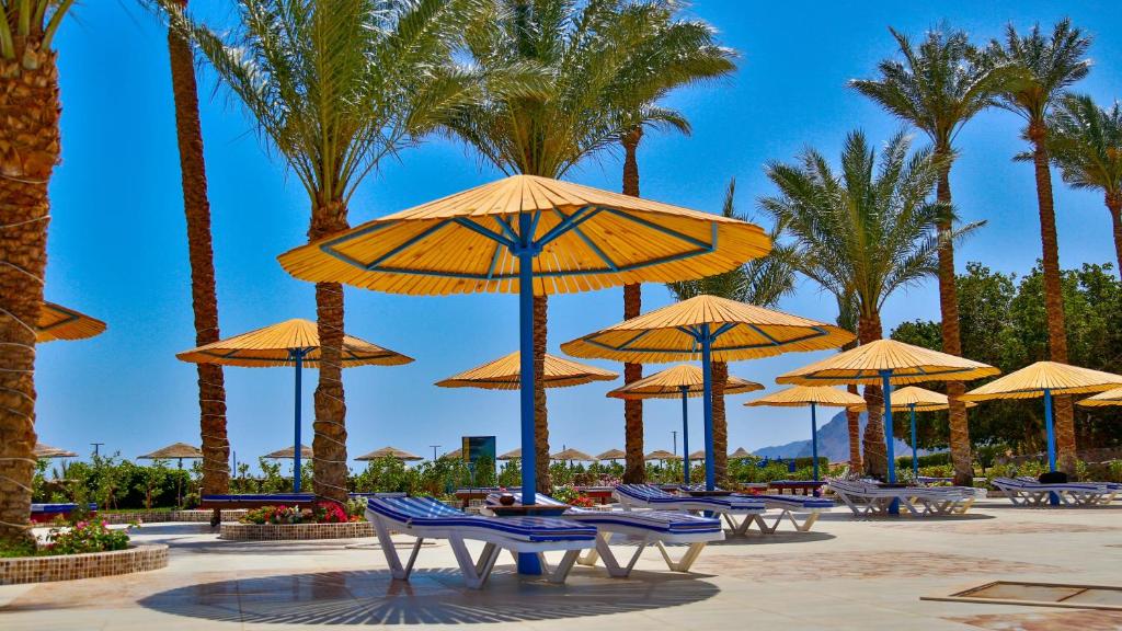 バルコニー/テラス