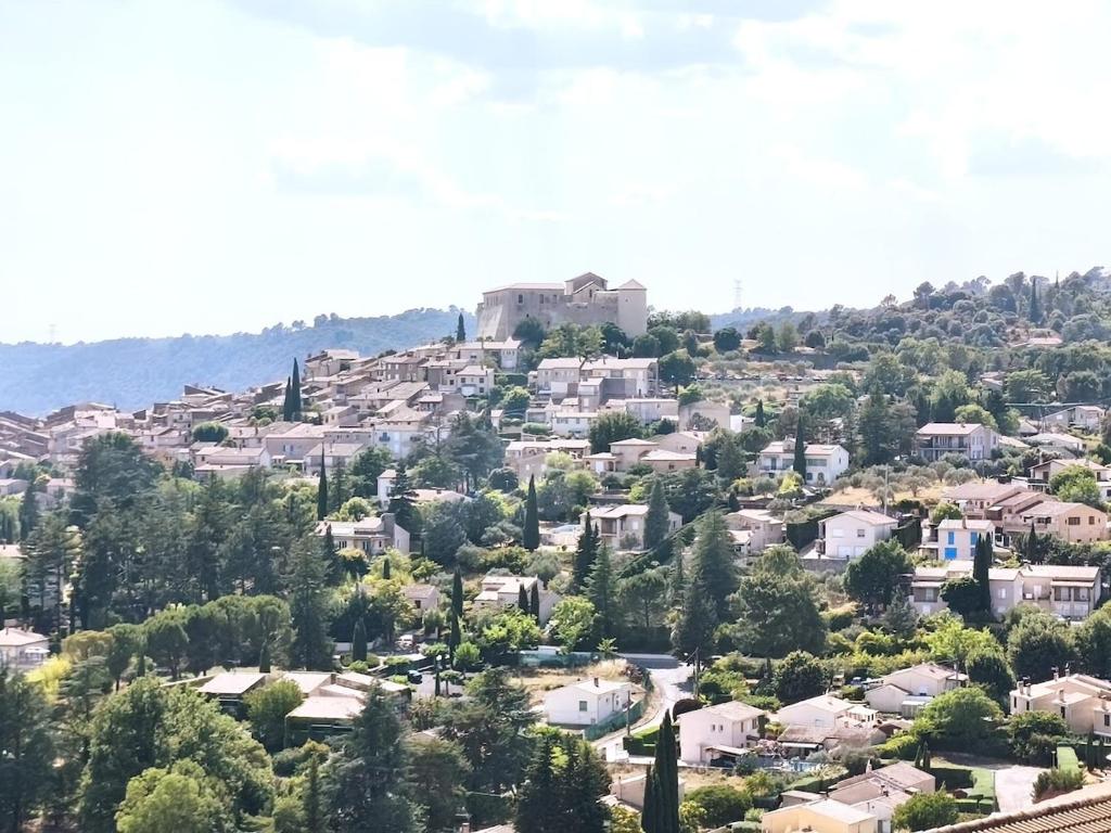 La Roseraie du Château climatisé! - 2
