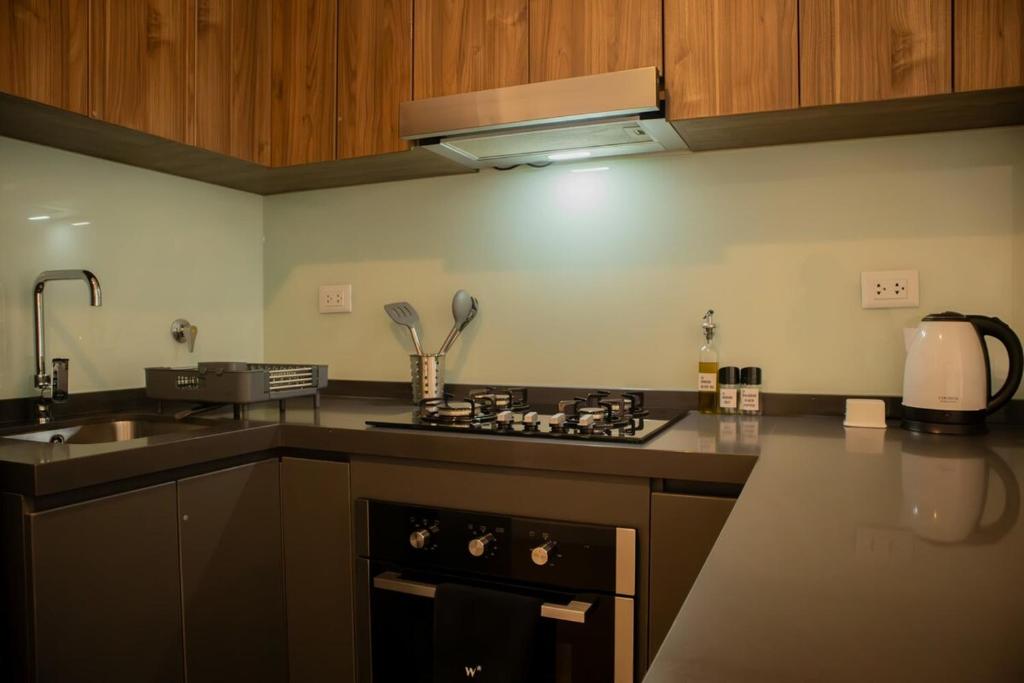 Astounding 1BR in San Isidro - 2