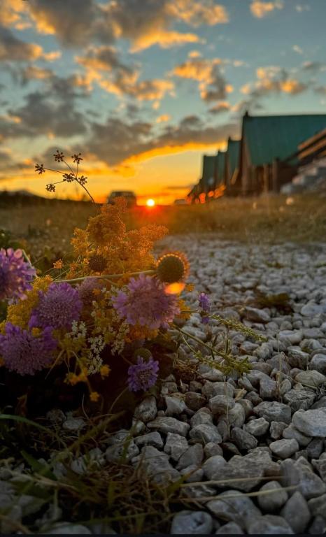 Mountain Soul Rest - 2