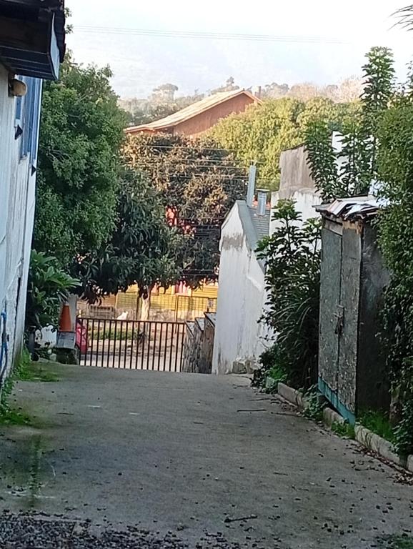 La Maison des Fous - 3