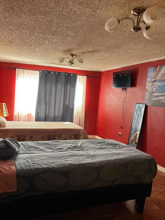 Hostal volcánicos - 2