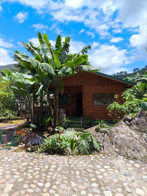 Cabin in Orosi, Orosí