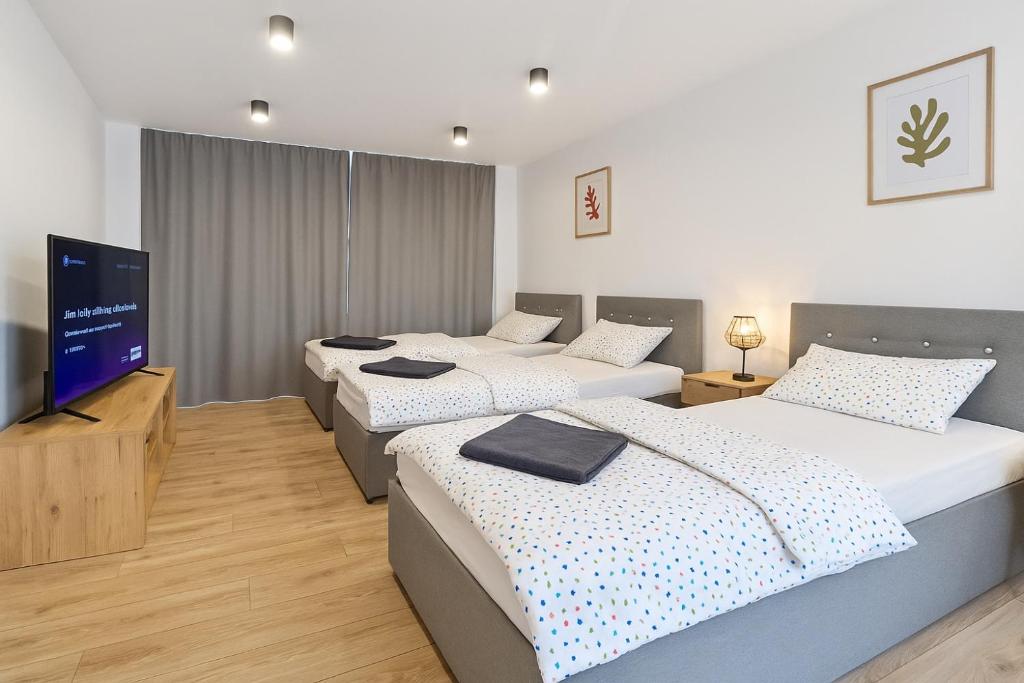 Apartmán Strážske s balkónom, Michalovce