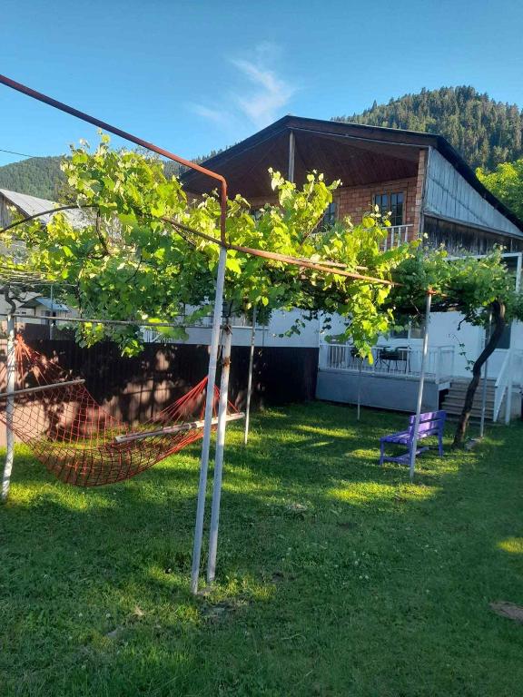 Guesthuse sadgeri, Tba