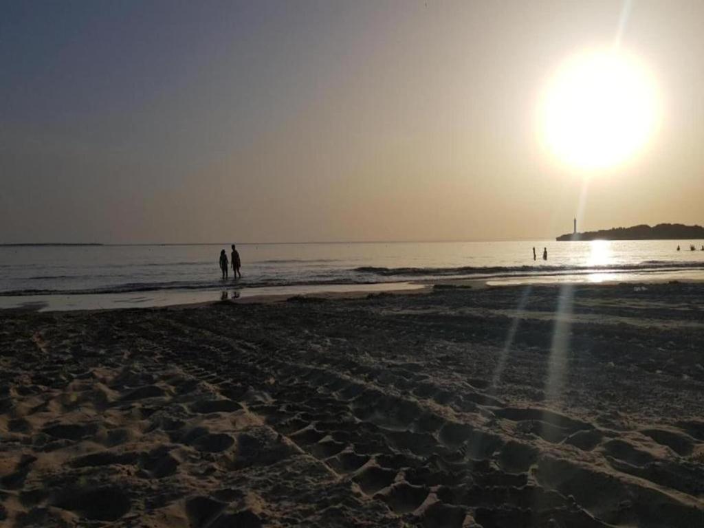 Restored farmhouse with private pool, Campsegret