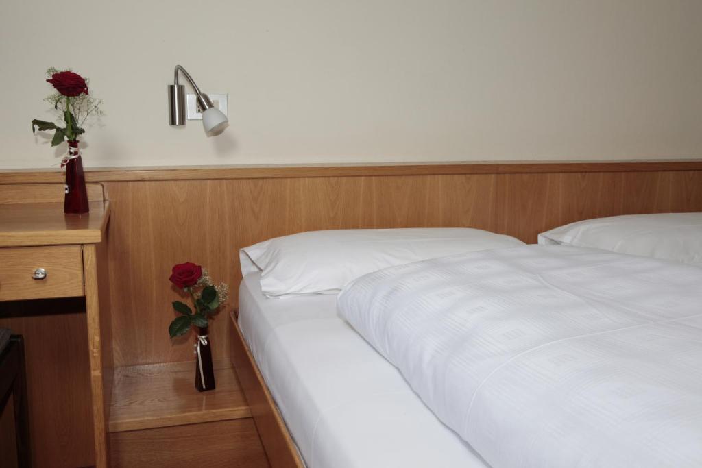 Hotel Alpino Plan - 5