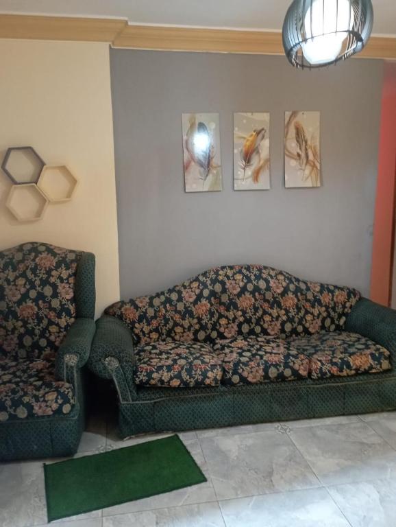 sidi bashr el tram street ali abi bash, Banī Ghālib