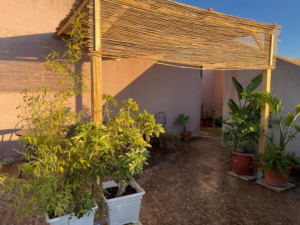 Acquamarina Apartment with Terrace - 2