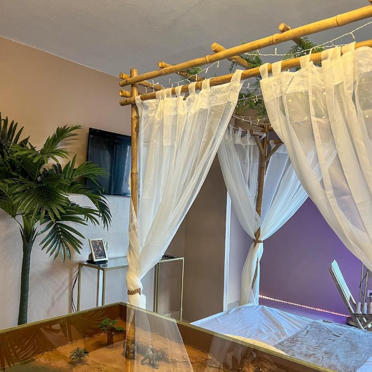 Studio Safari Chic sur le port du Cap d'Agde - 4