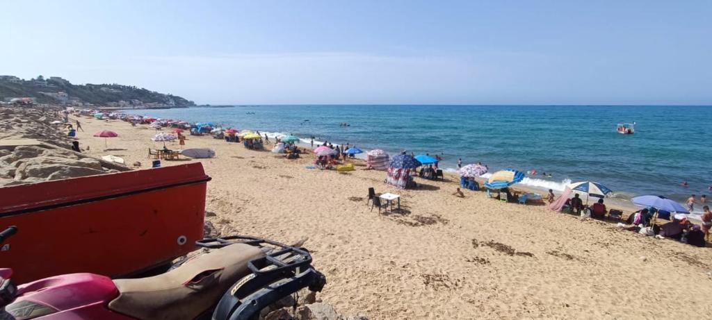 Top F2 pied dans eau, 'Aïn Taya
