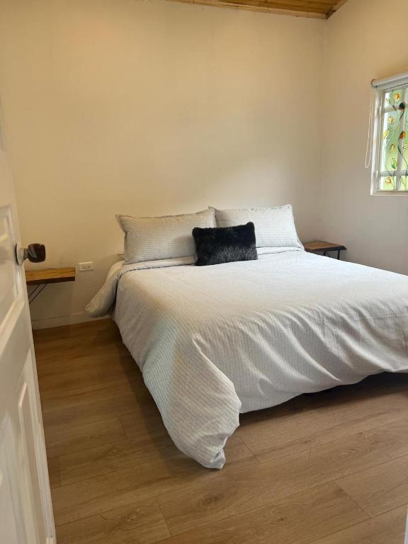 ANIMATERRA Luxury Lodge SISGA - 5