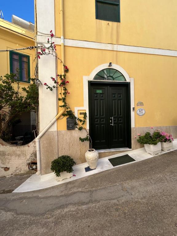 B&B Il Sogno Ponza - 4