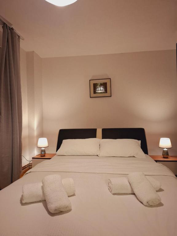 Urban Elegance Apartment Sarajevo - 2