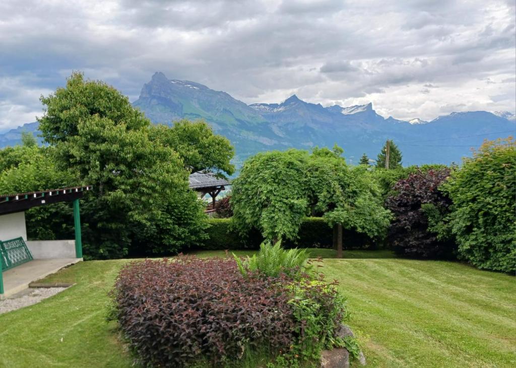 Chalet Mireneige, charme et confort face au Mont Blanc - 5