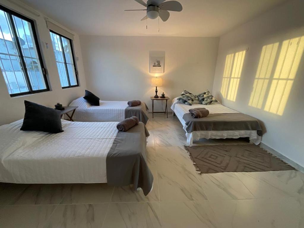 Habitación céntrica y acogedora Suculenta, Cancún