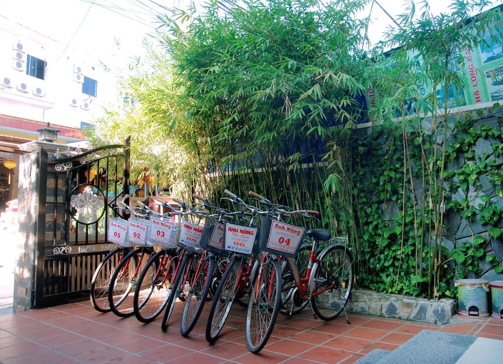 Surrounding environment