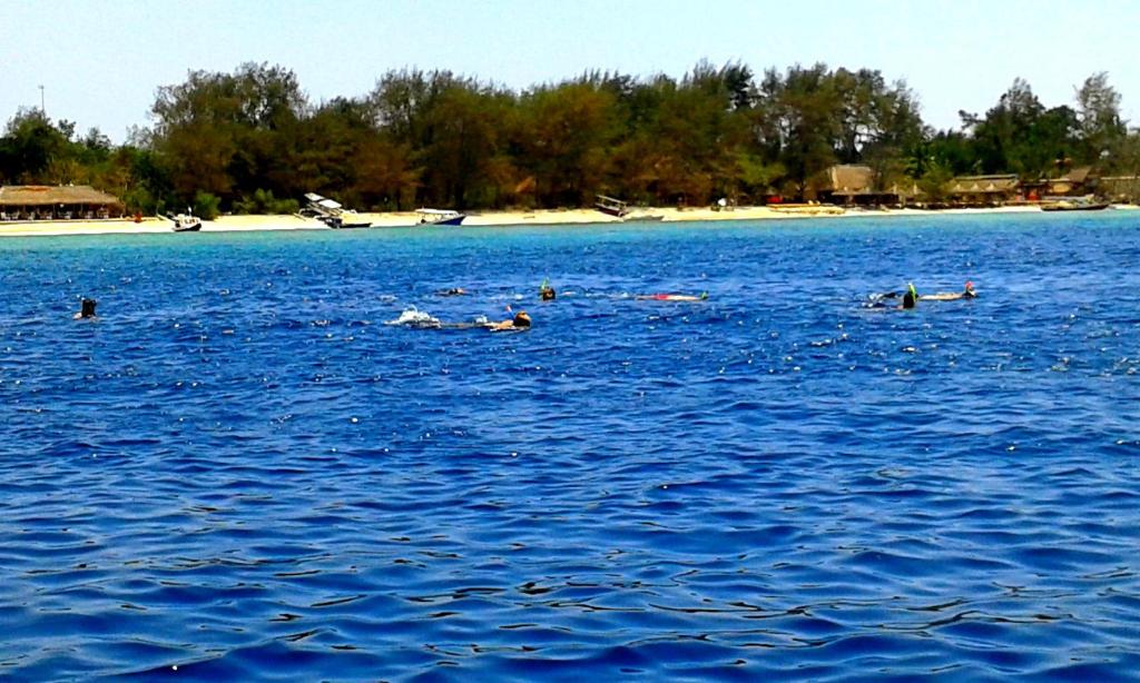 Ina Gili Guesthouse photo