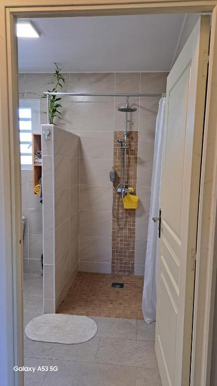Shower