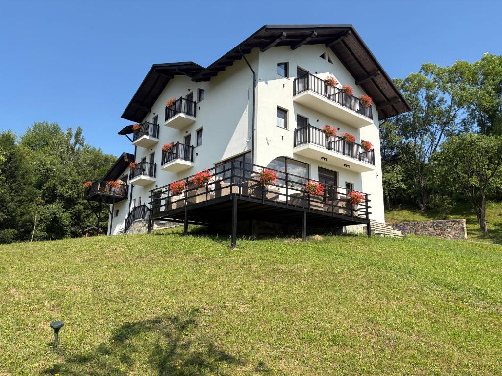 Liniștea Codrului, Borşa