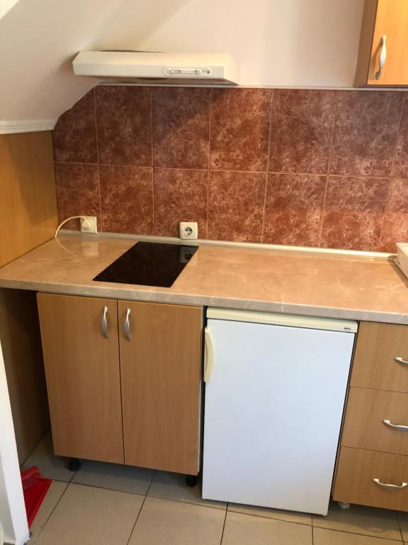 apartmani.miletic 1 - 5