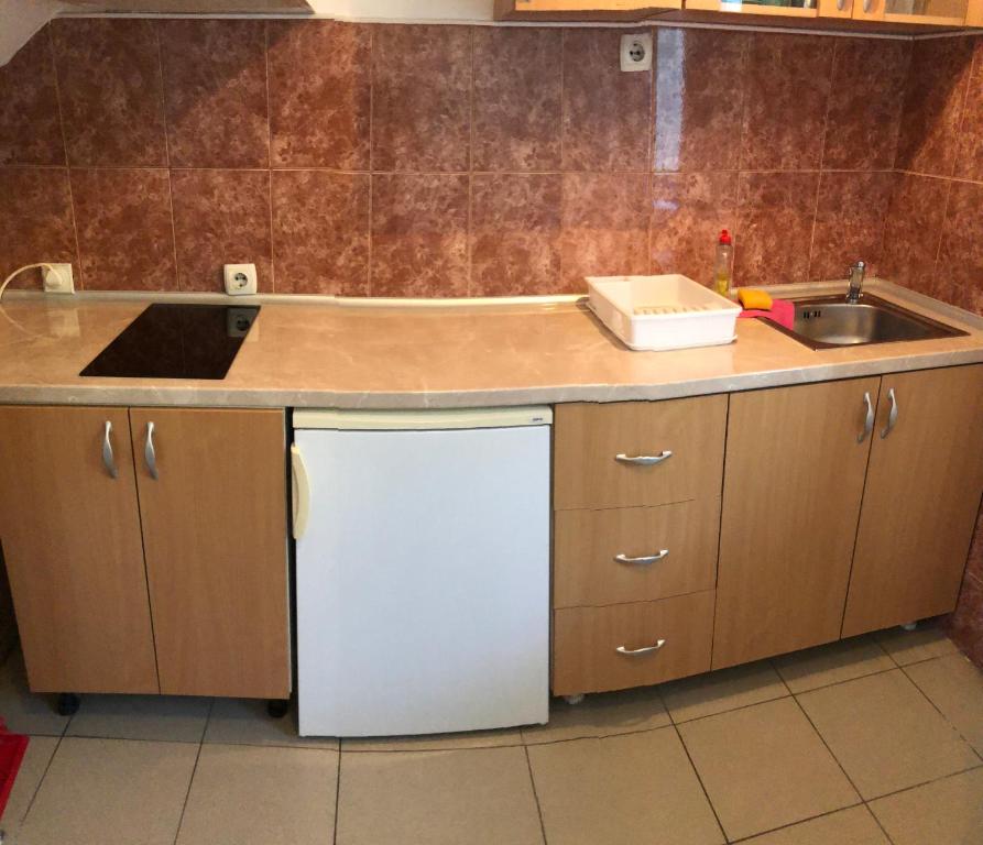 apartmani.miletic 1 - 4