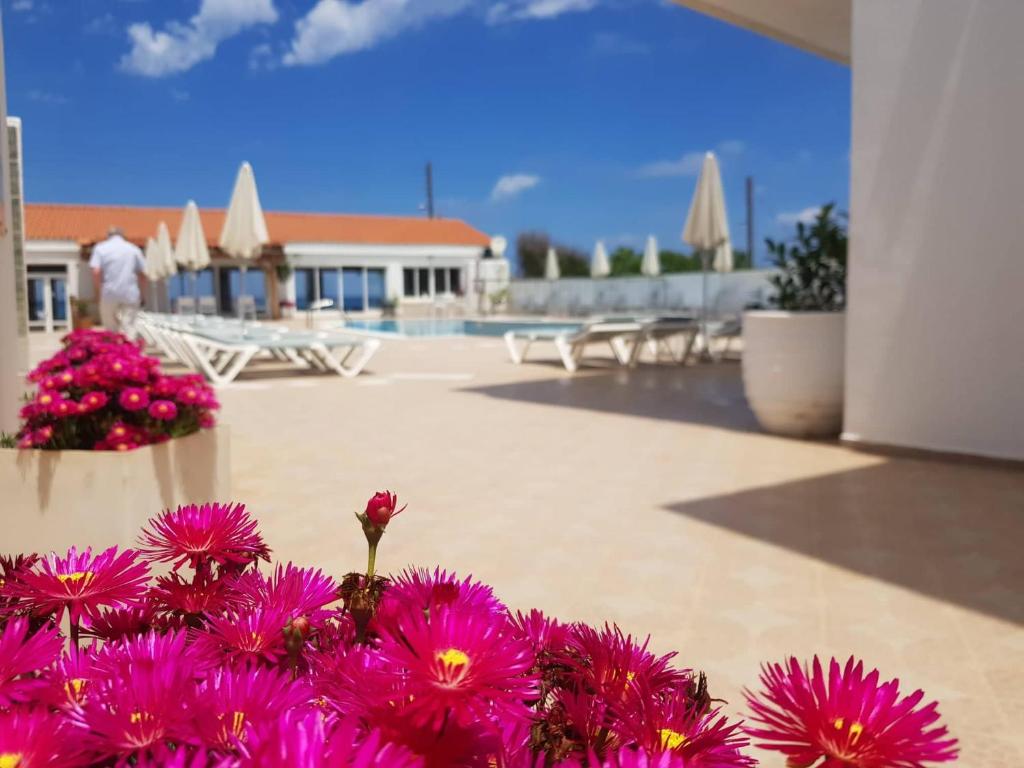 Kasapakis Hotel & Apartments — Swimming pool in Analipsi