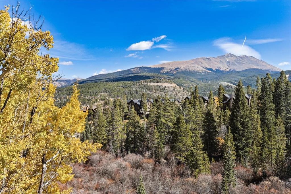 Snowflake Lookout Duplex, Breckenridge