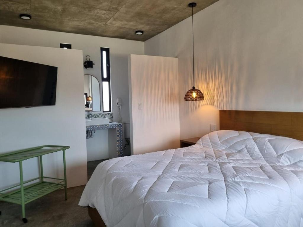 Nest Aprt, San Carlos