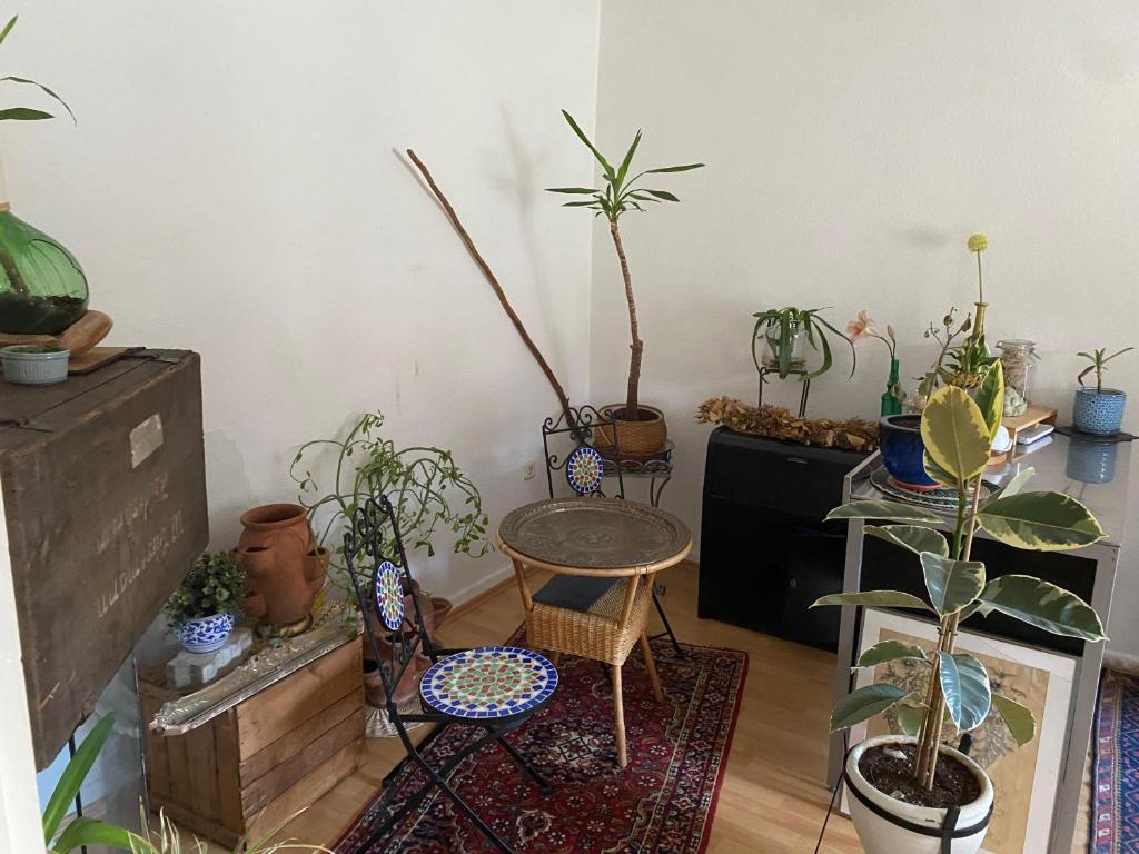 Gemütliche und mit Charme eingerichtete Wohnung, Wuppertal