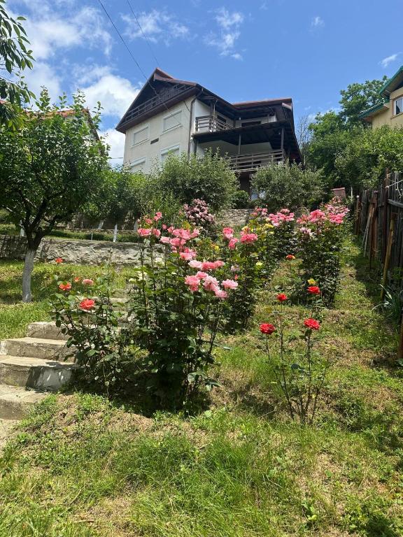 La Colonelu, Sărata-Monteoru