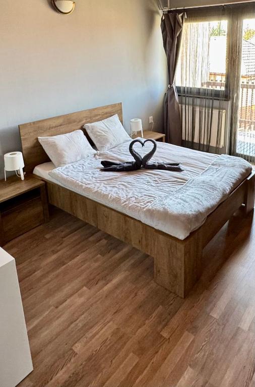 Silenzio Apartman, Gyula