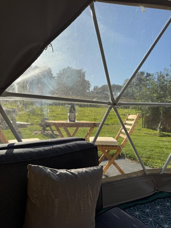 The Little Retreat, Pembrokeshire photo 7