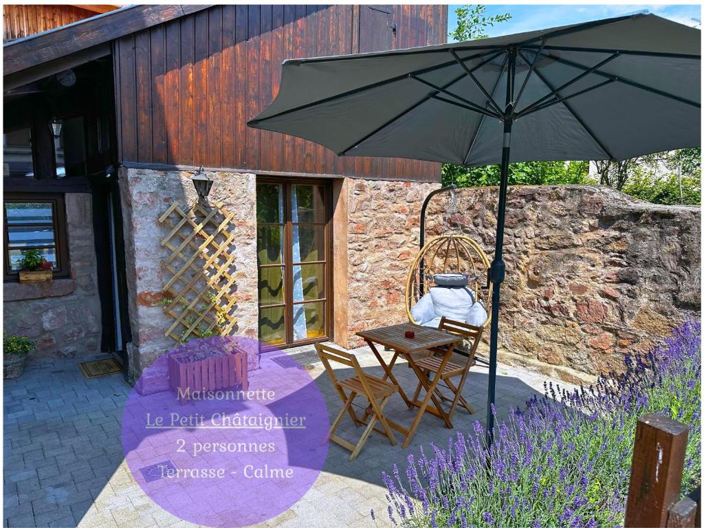 Le petit Châtaignier - Cozy Immo, Châtenois