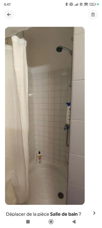 appartement proche zenith - 2