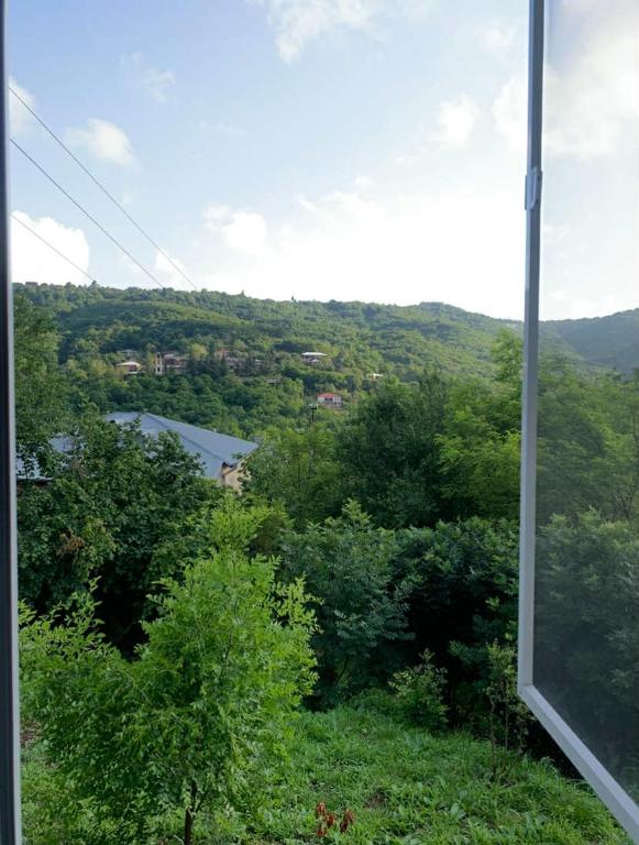 Pirosmani 66, Signagi