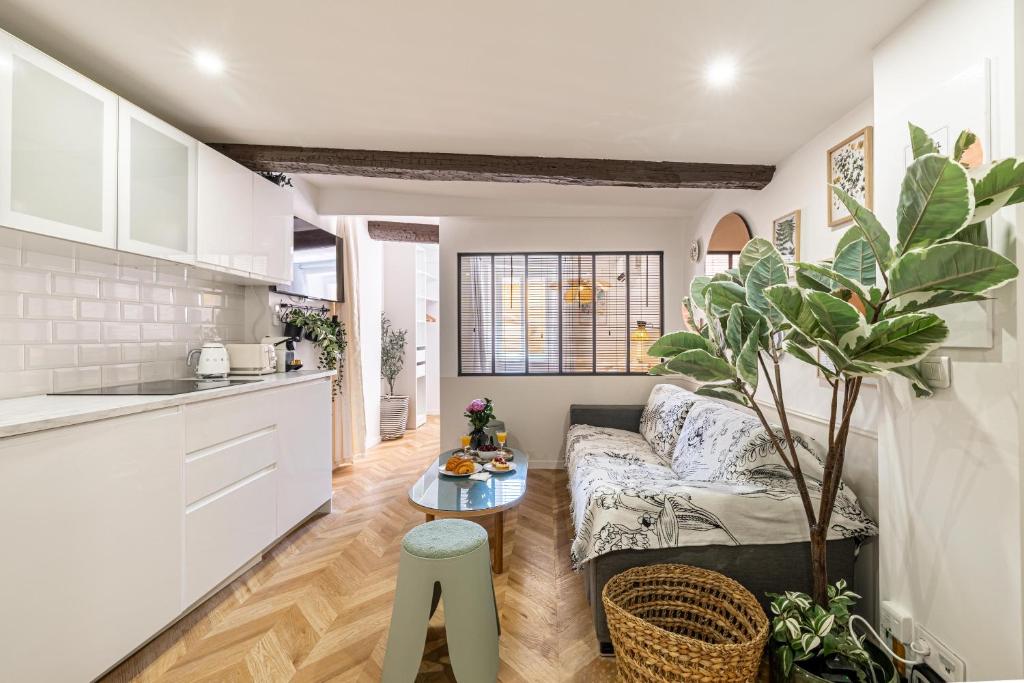 Two suites with AC in the heart of Old Nice, each with its own entrance - 3