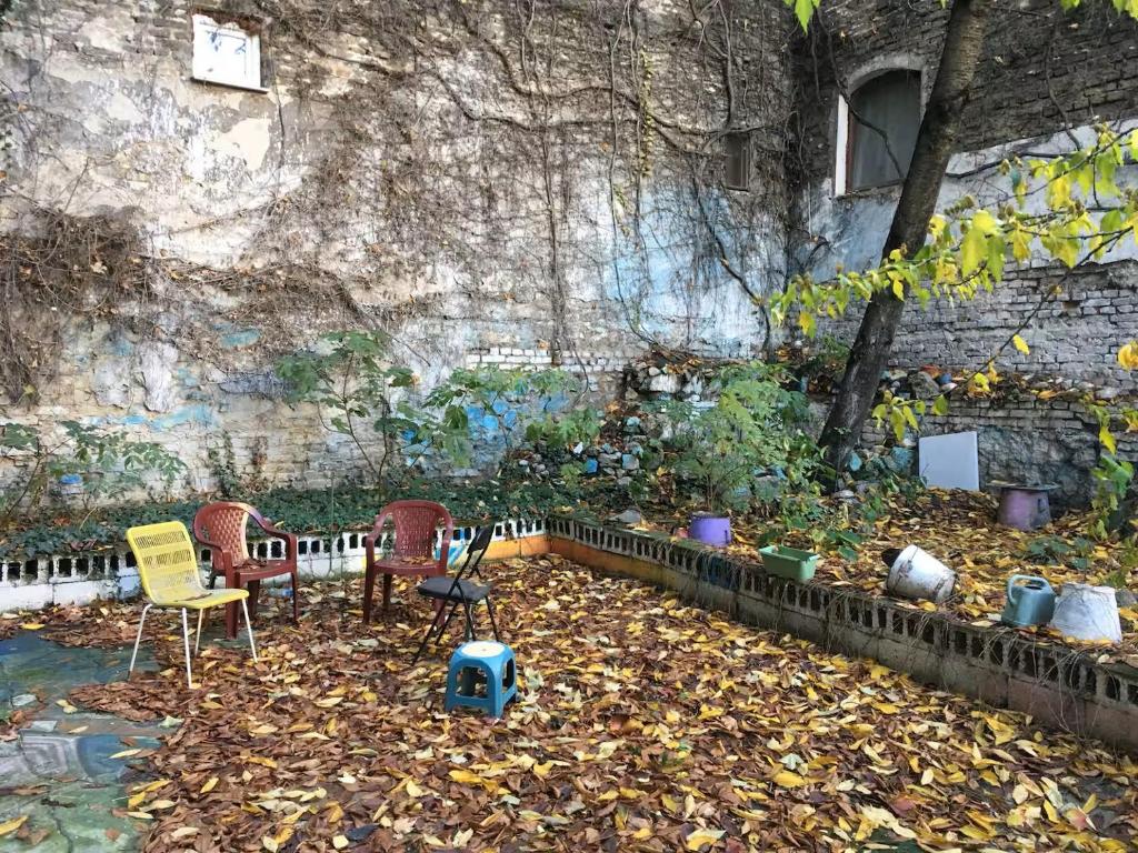 Копитарева градина Apartment - 3