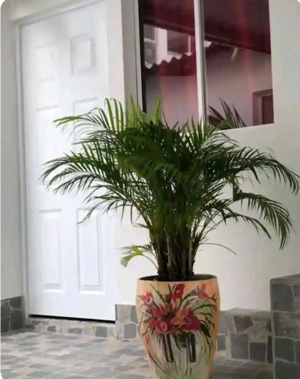 Refugio de estribor - 2