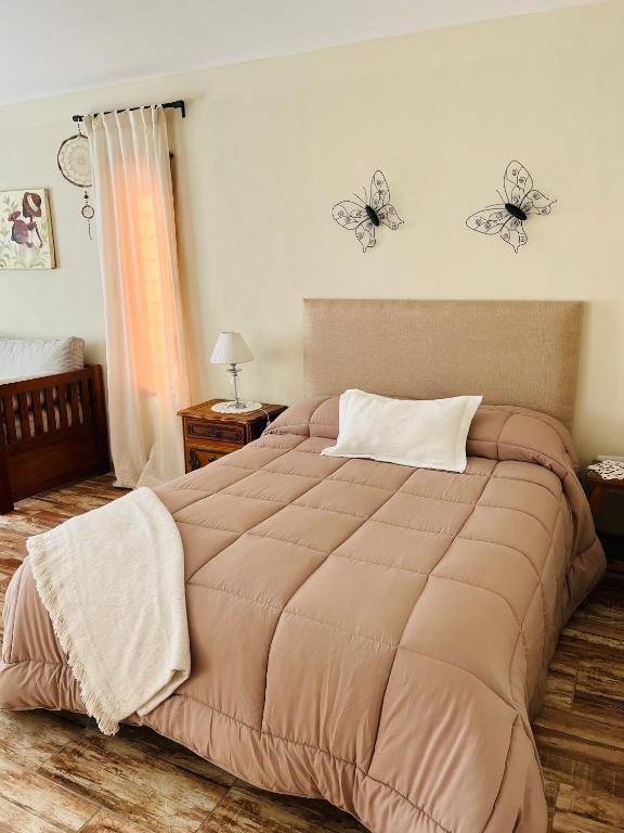 Corazón de Ayrampos APART - 3