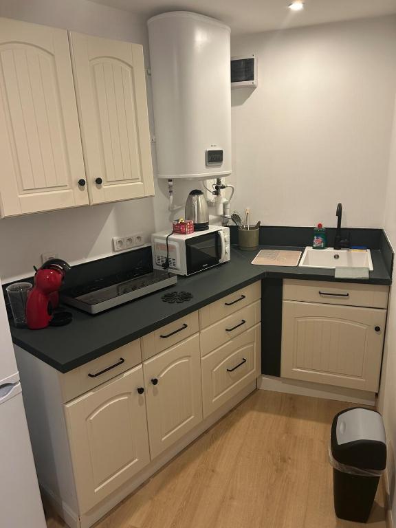 Dépendance au calme avec terrasse - 5