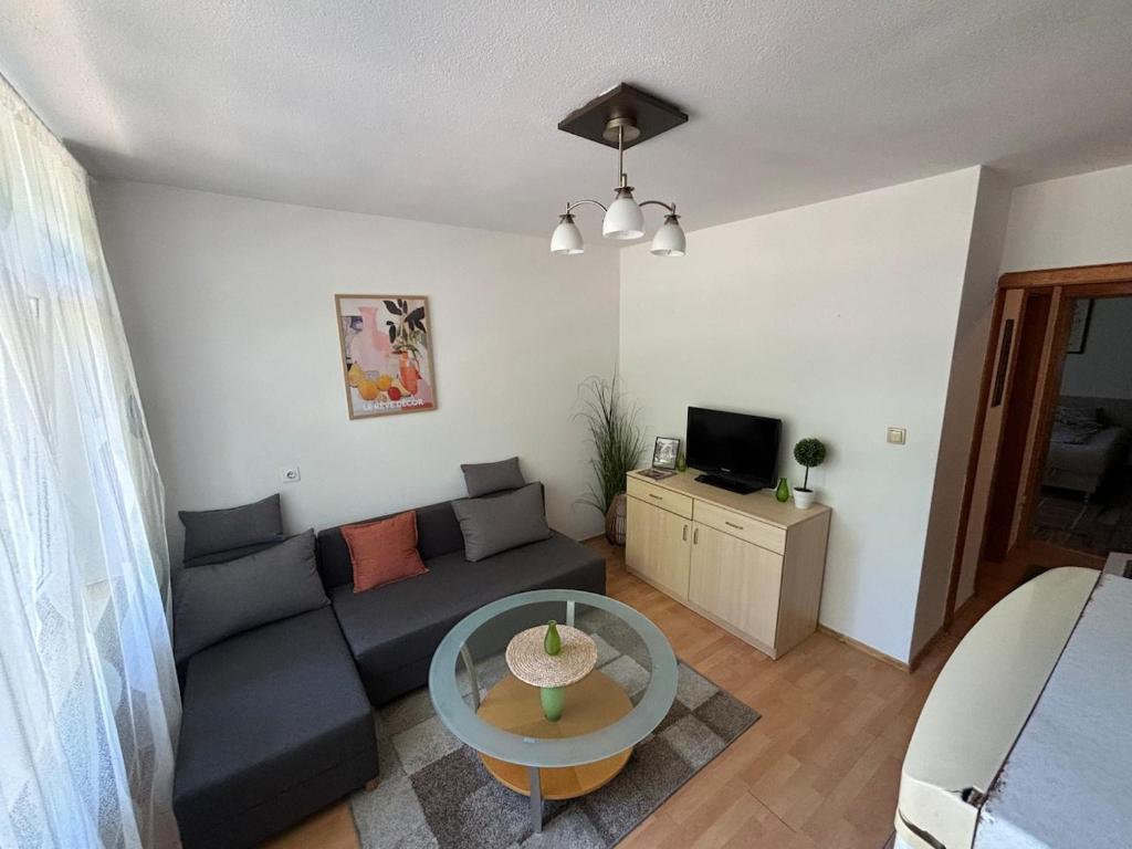 Bihac Center Apartment - 1