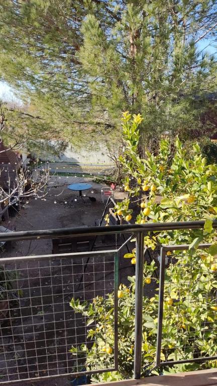 Casita del Árbol - 3