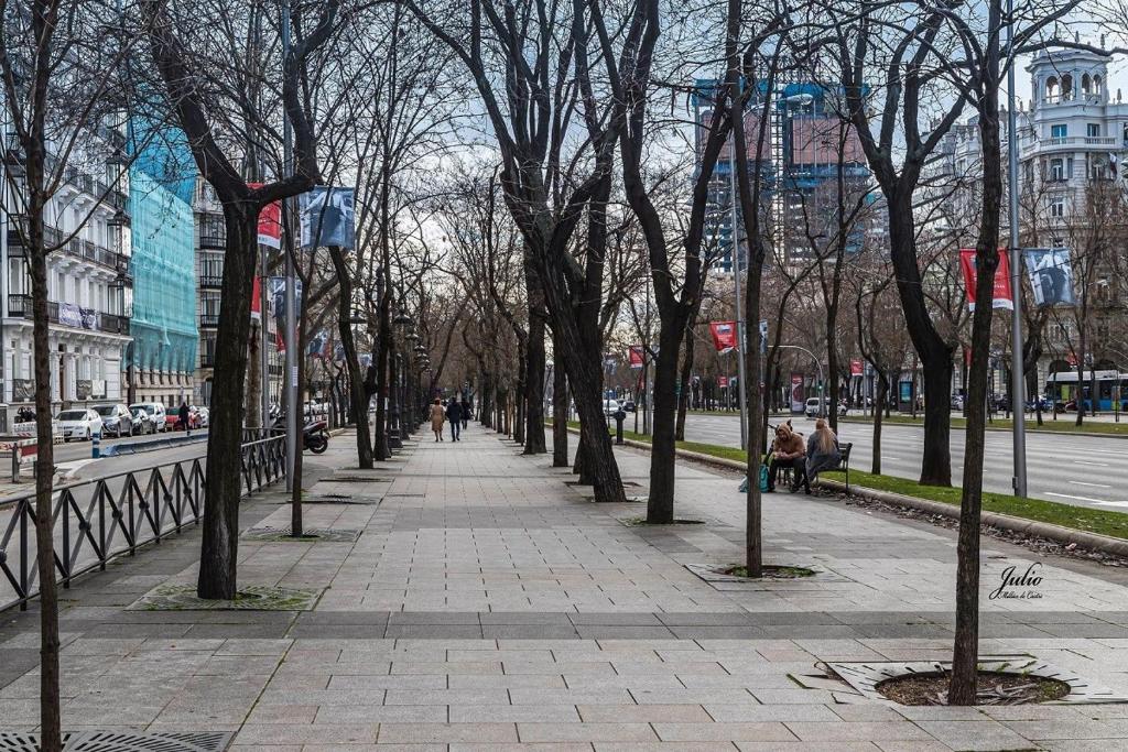 Junto al Paseo de la Castellana y Bernabéu, 6 pax - 5
