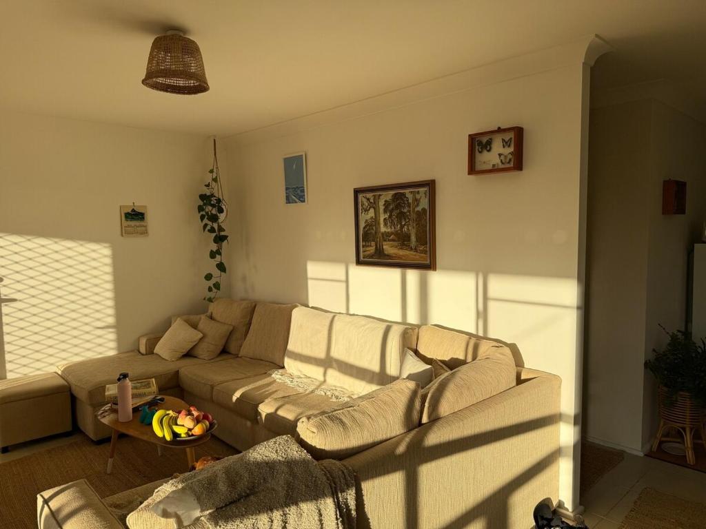 Corvidae, Batemans Bay