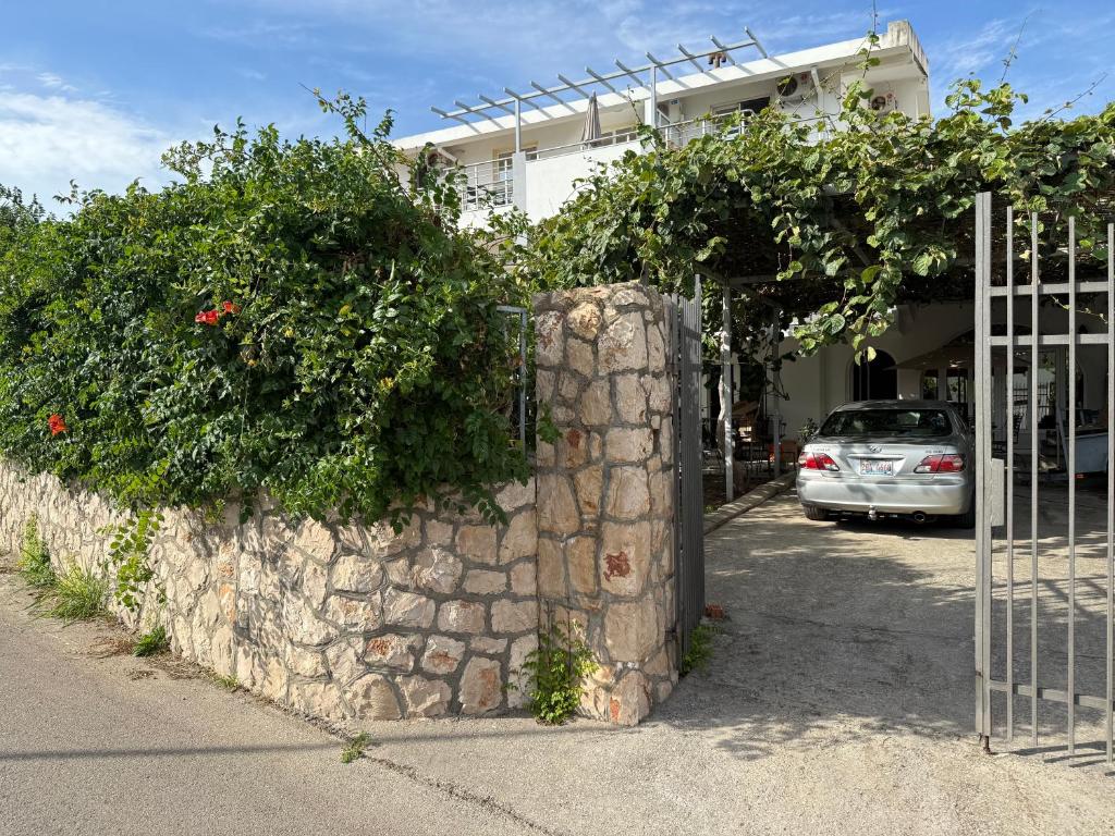 Stuart Žukotrlica - 2