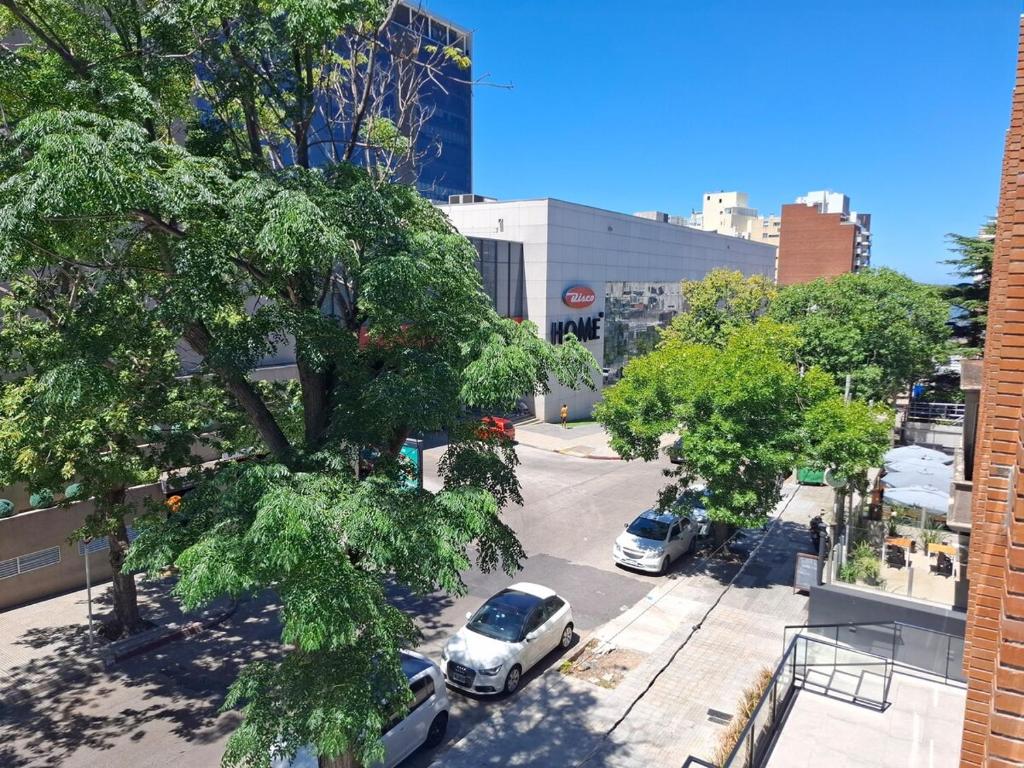 Avellana - Comfortable and bright, in front of the mall - 2