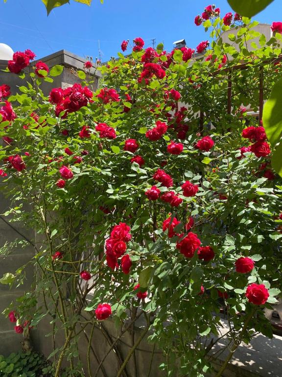 Perfect Grin Point with fire-place, Aghk'ilisa