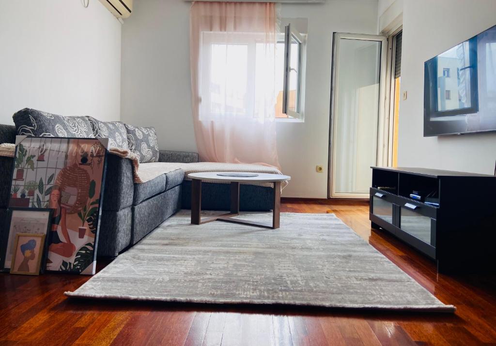 Cozy city apartment Podgorica - 4
